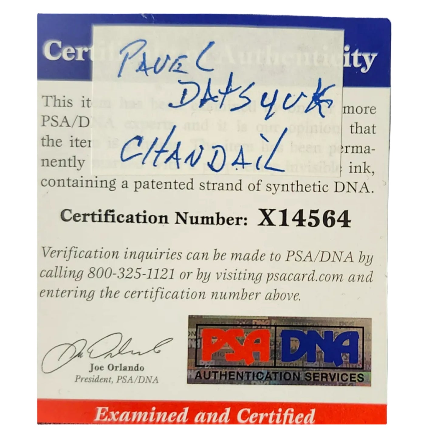 Chandail autographié Pavel Datsyuk #13 Detroit Red Wings – mémorabilia LNH réplique Reebok certifié authentique | ESPACE B.R